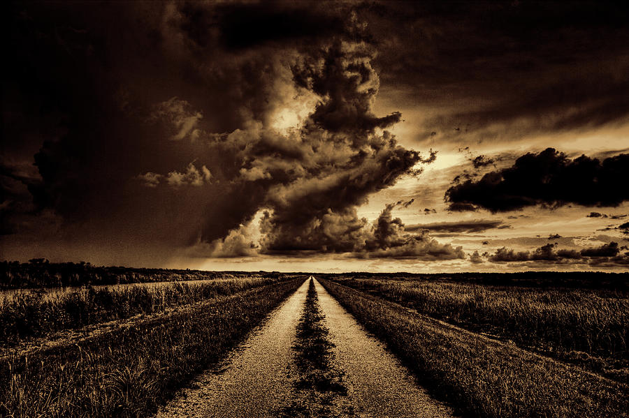 Path to Destiny Photograph by Roberto Aloi