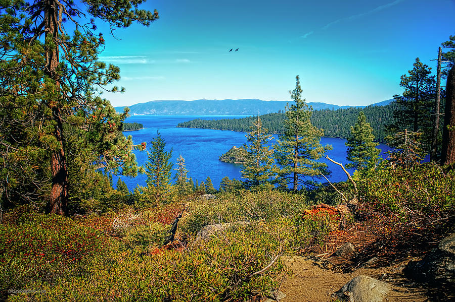 Path to Emerald Bay Lake Tahoe Photograph by LeeAnn McLaneGoetz McLaneGoetzStudioLLCcom