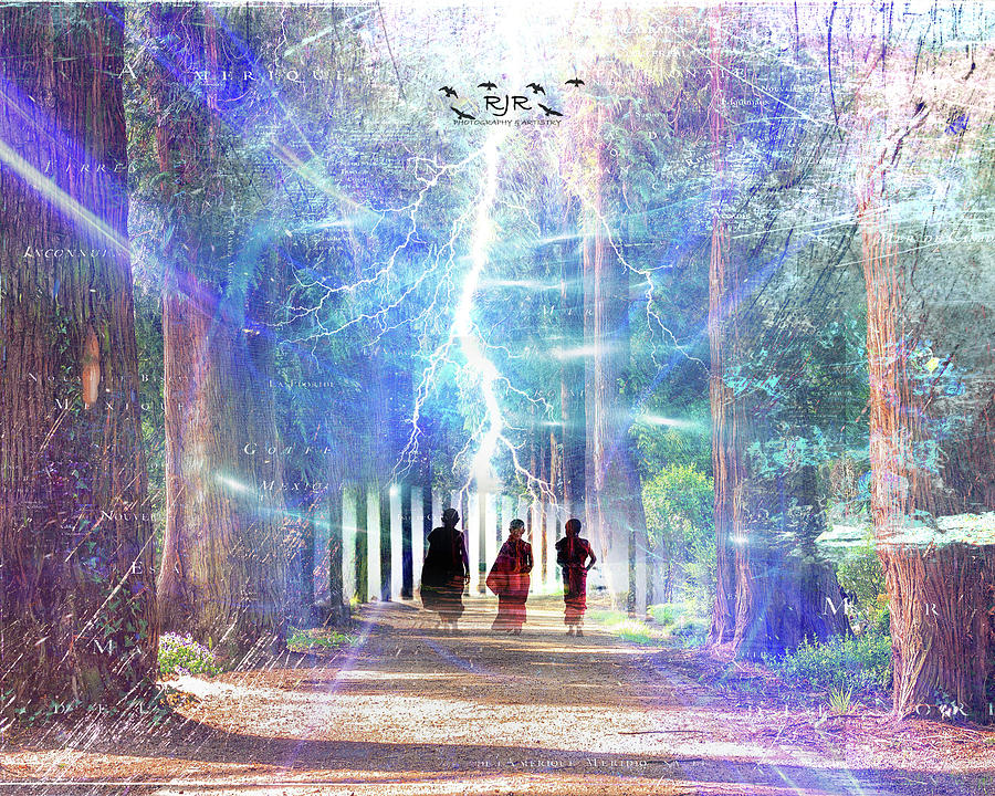 Path to Enlightenment Photograph by Rebecca Reyes | Fine Art America