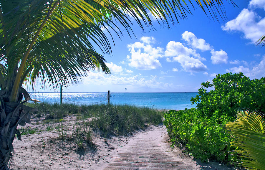 Paradise Photograph - Path to Grace Bay, Turks and Caicos by Marie Hicks