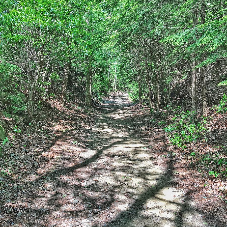 Path to Greatness Photograph by Mike Dunn