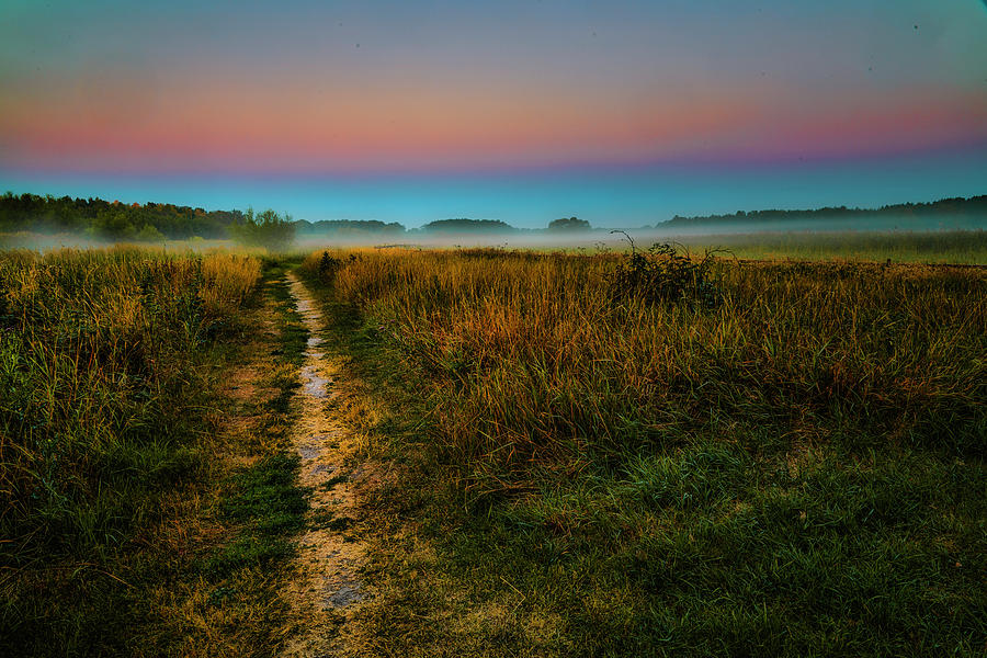 Path to misty mystic future #h7 Photograph by Leif Sohlman