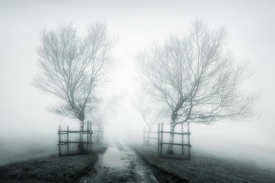 Path to nowhere II Photograph by Mikel Martinez de Osaba