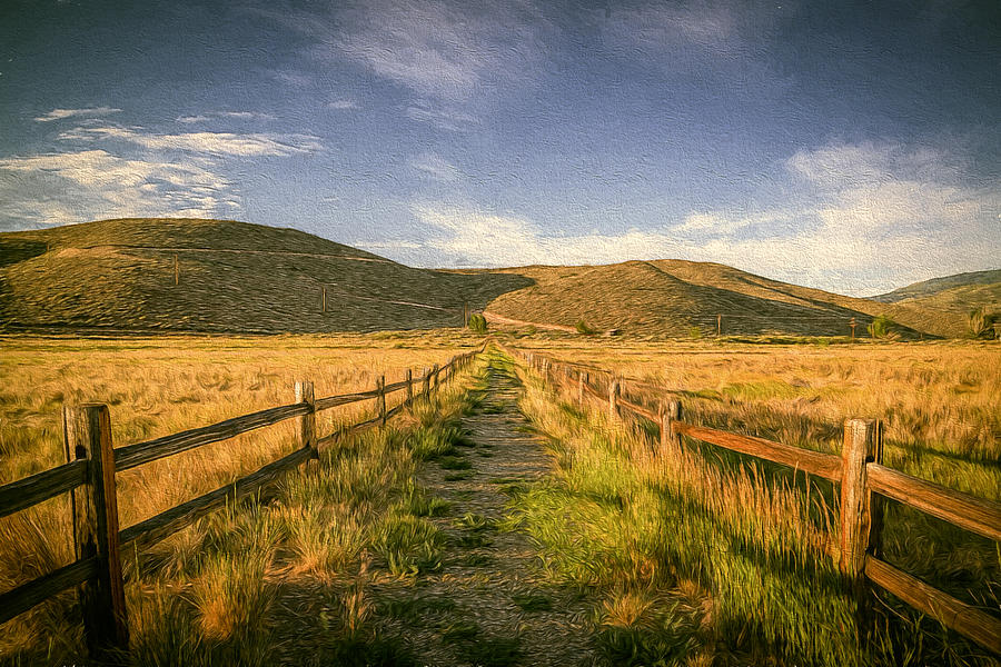 Nature Photograph - Path to Nowhere by Maria Coulson