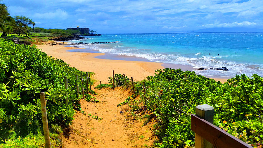 Path to Paradise, Hawaii  Photograph by Michael Rucker