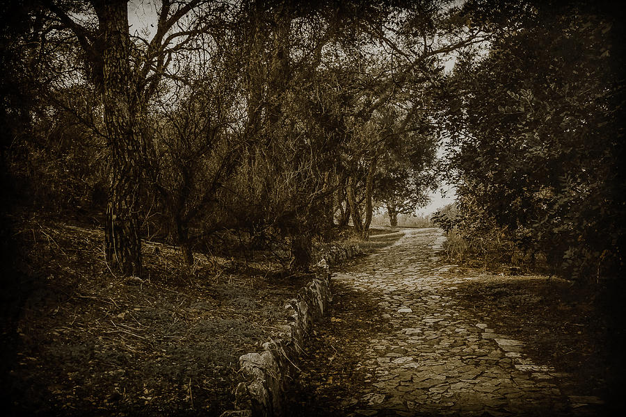Athens, Greece - Path to Philopappos Photograph by Mark Forte