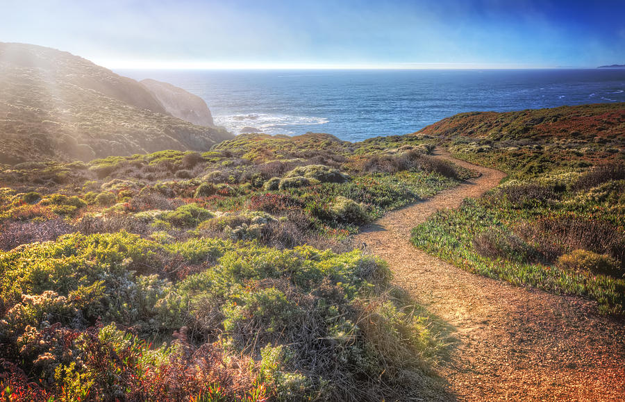 Beach Photograph - Path to South Rodeo Beach - Marin County California #2 by Jennifer Rondinelli Reilly - Fine Art Photography