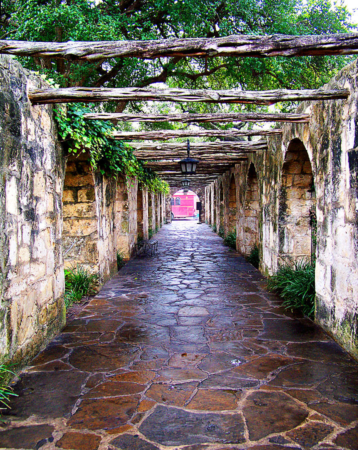Path to the Alamo Photograph by Anthony Jones