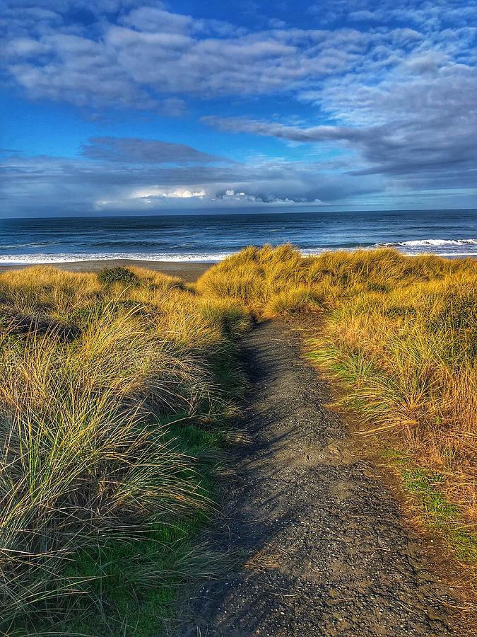 Path to the Beach Photograph by Bonnie Bruno
