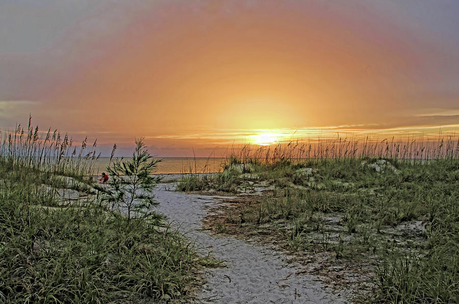 Path To The Beach Photograph by HH Photography of Florida
