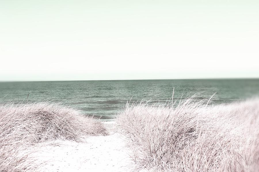 Path To The Beach Photograph By Mary Pille Fine Art America