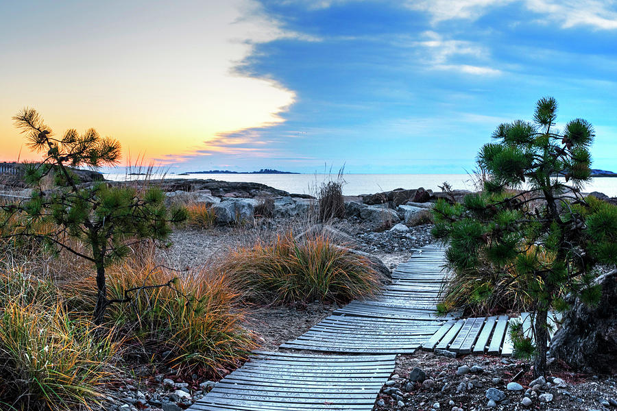 Path to the beach Preston Beach Marblehead Massachusetts Sunrise Photograph by Toby McGuire