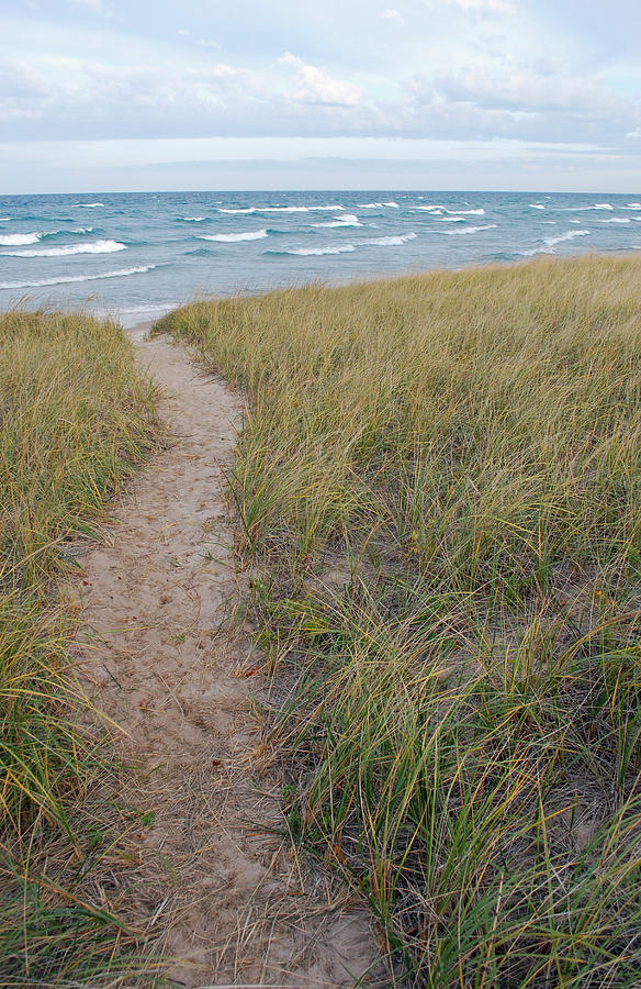 Bear Photograph - Path to the Beach by Twenty Two North Photography Bear Photograph - Path to the Beach by Twenty Two North Photography