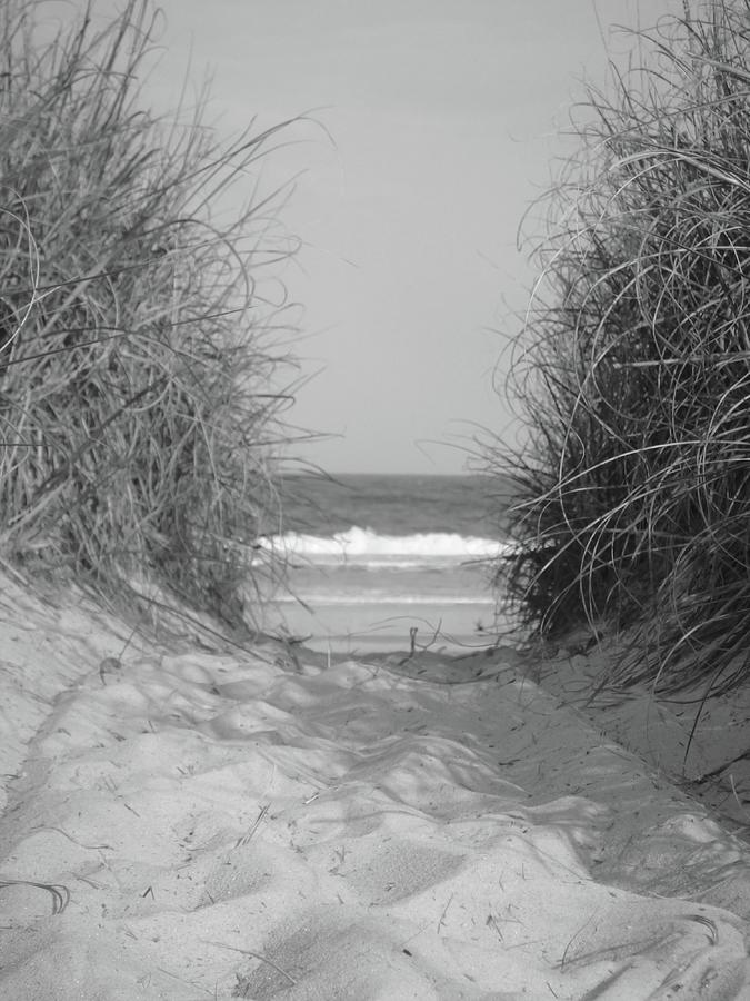 Beach Photograph - Path to the beach by WaLdEmAr BoRrErO