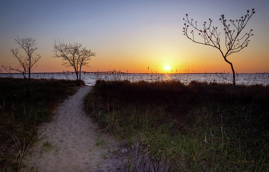 Path to The Chesapeake Photograph by Brian Wallace