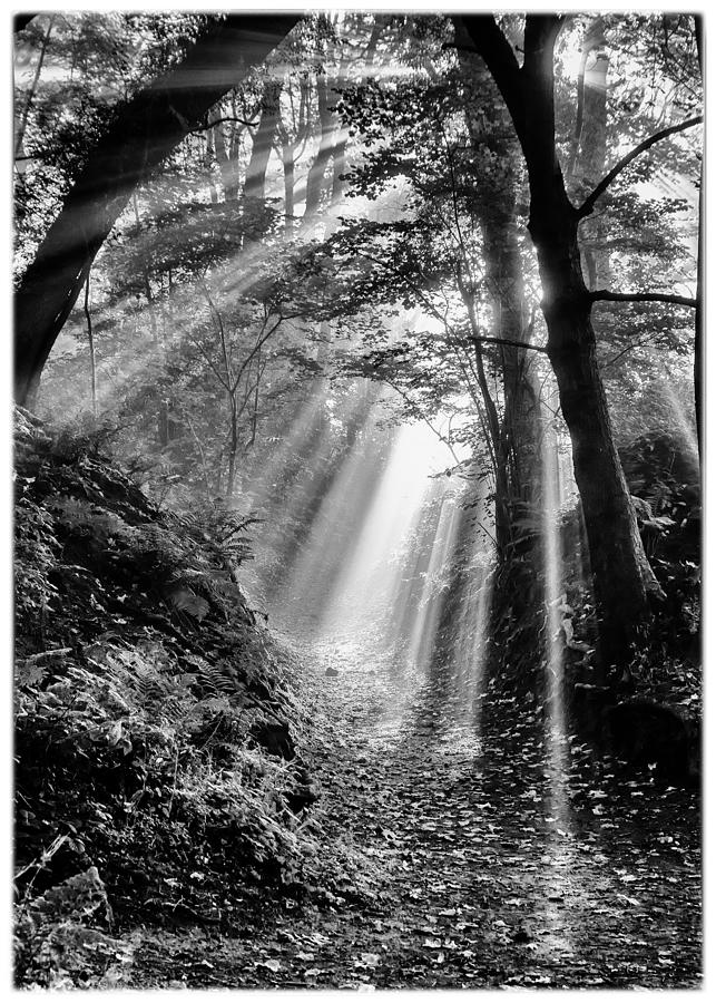 Fairy Photograph - Path to the light by Peter Acs