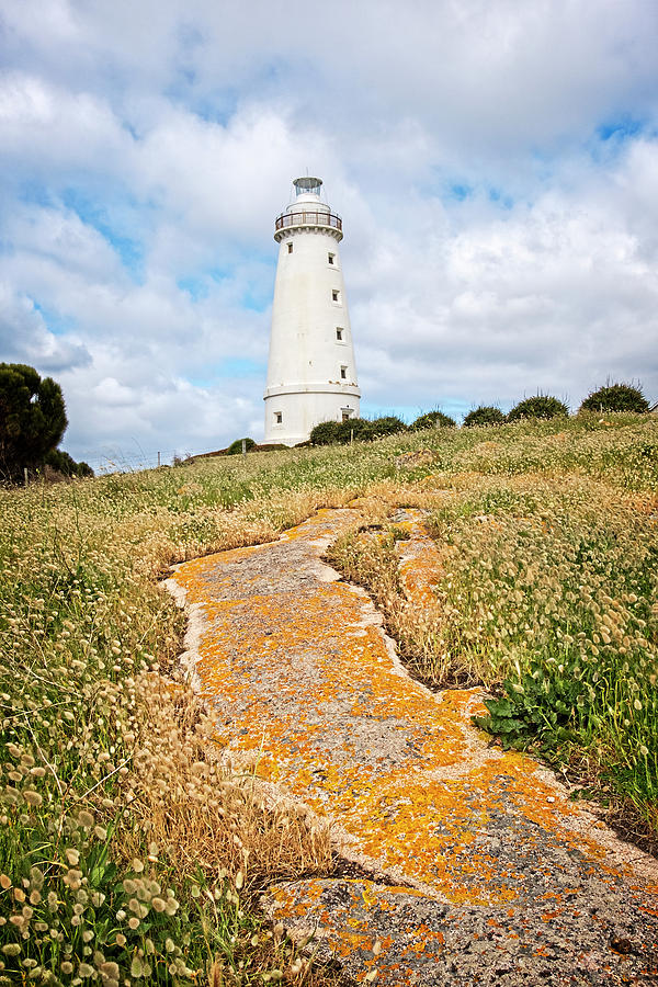 Path to the Lighthouse Photograph by Catherine Reading