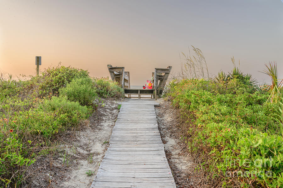 Nature Photograph - Path to the Sea by Elvis Vaughn