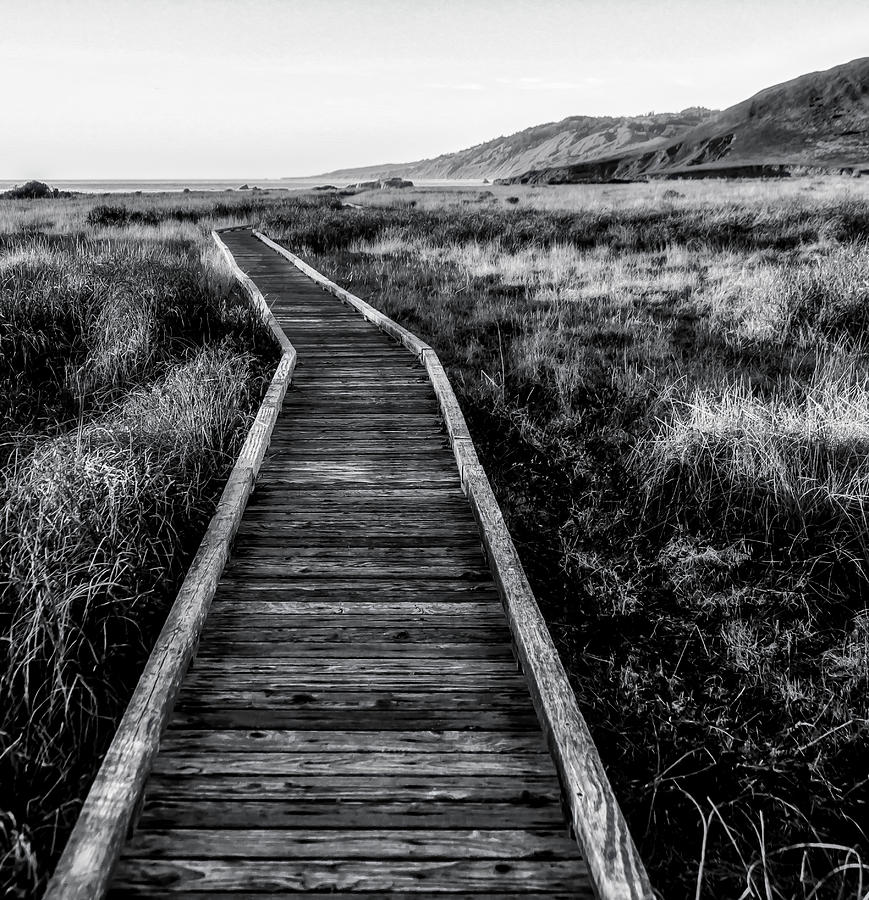Path To The Sea In Black And White Photograph by Garry Gay