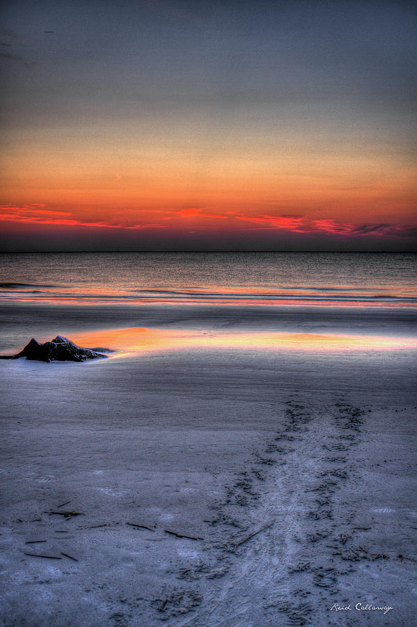 Jekyll Island GA Sea Turtle Path To The Sea Landscape Seascape Art Photograph by Reid Callaway