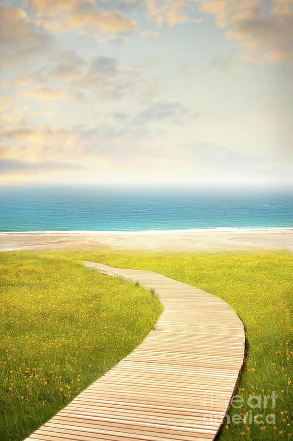 Path To The Sea Photograph by Lee Avison