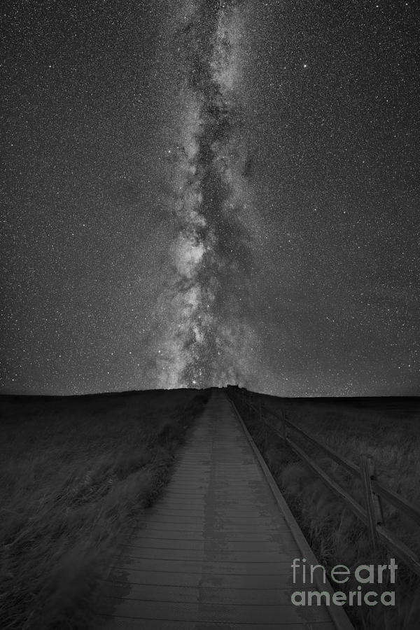 Path To The Stars Bw Photograph