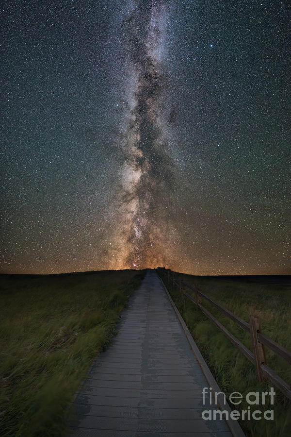 Path To The Stars Photograph