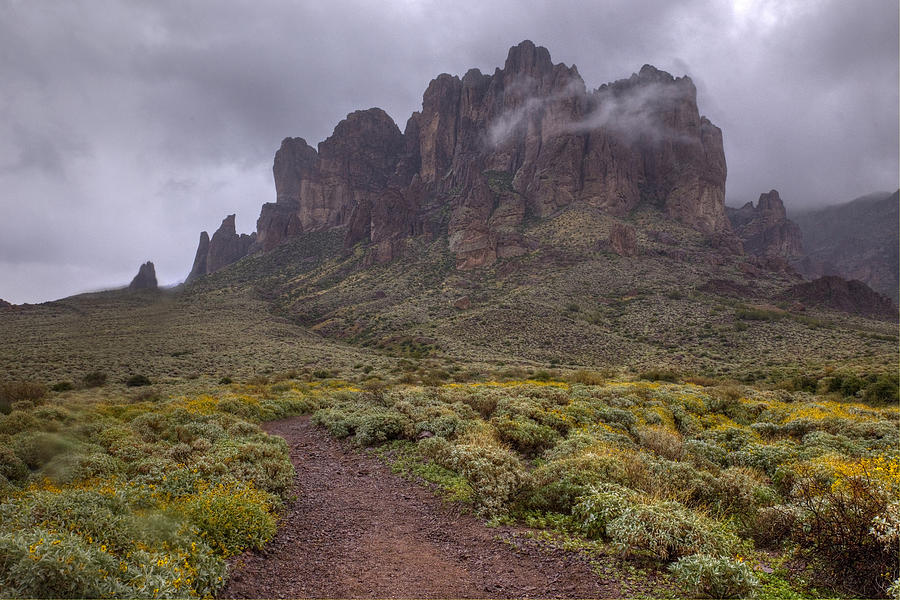 Path to the Superstitions Photograph by Sue Cullumber