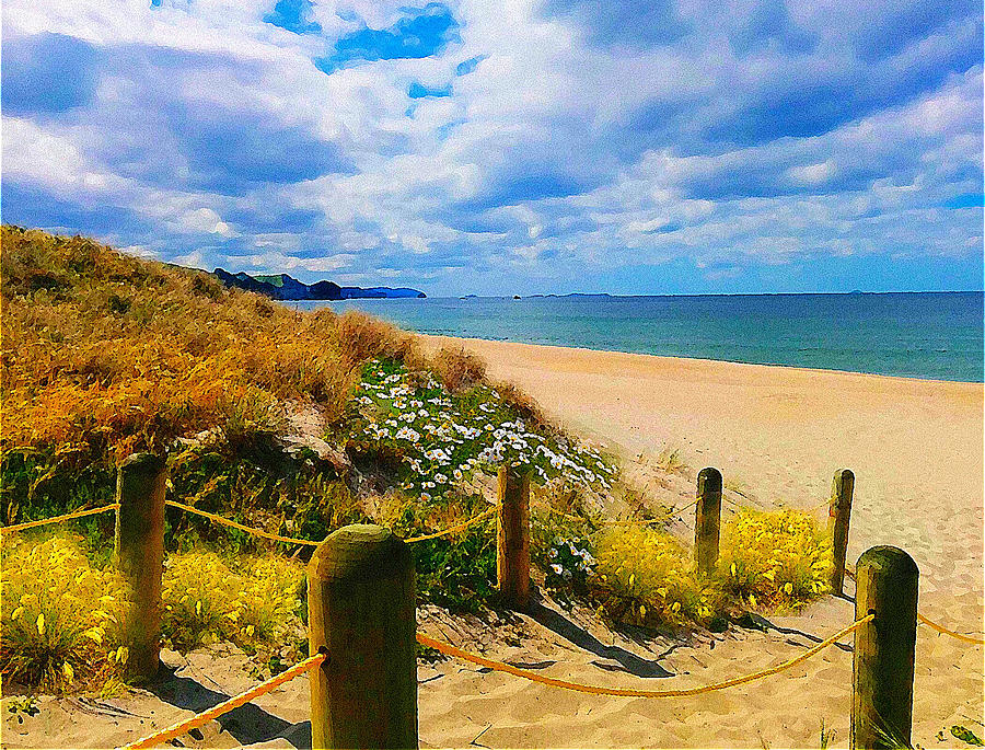 Beach Digital Art - Path to Whiritoa Beach, Coromandel by Clive Littin