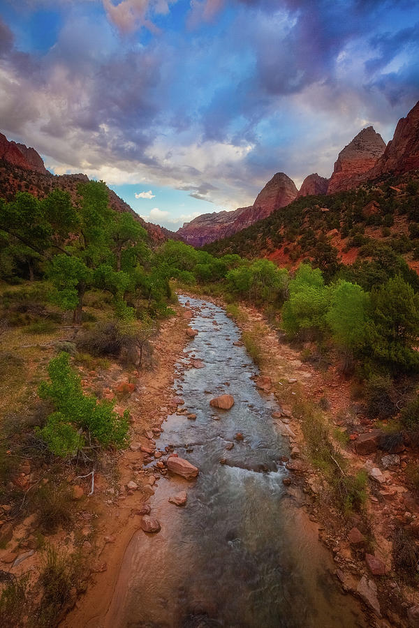 Zion National Park Photograph - Path to Zion by Darren White