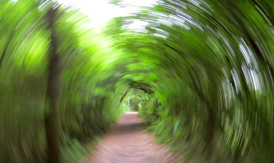 Path Vortex Photograph by Lindy Pollard - Fine Art America