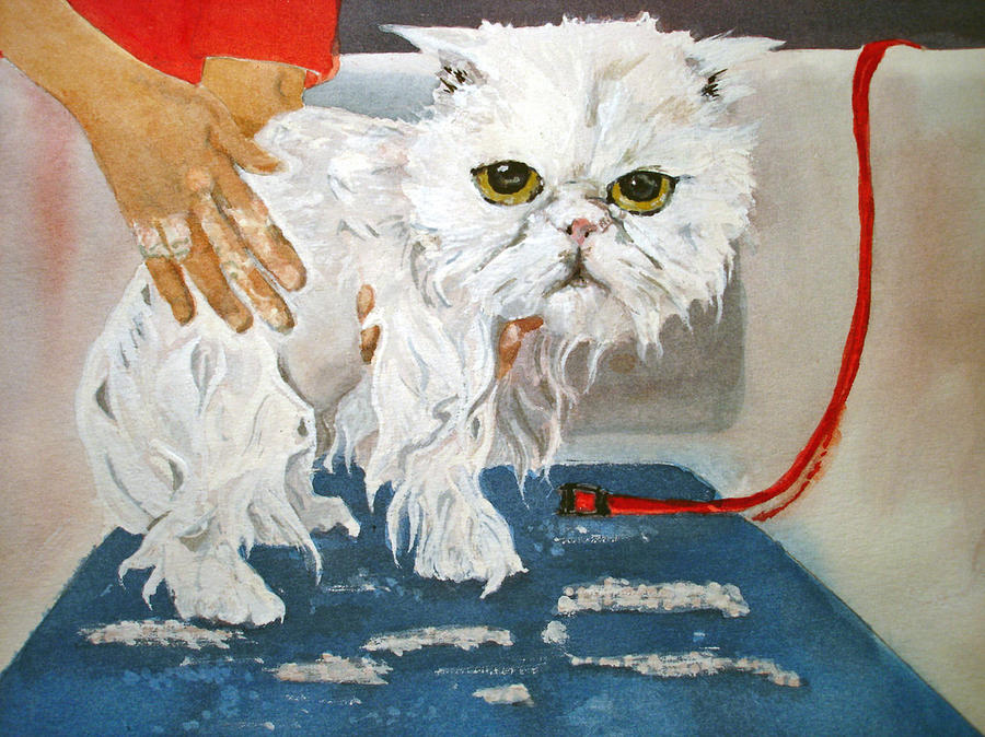 Cat Painting - Pathetic Persian Gets A Bath by Kerra Lindsey Cat Painting - Pathetic Persian Gets A Bath by Kerra Lindsey