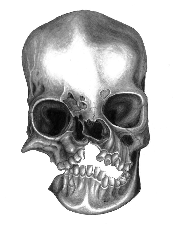 Pathological Skull Drawing by Kate Dechiara | Fine Art America