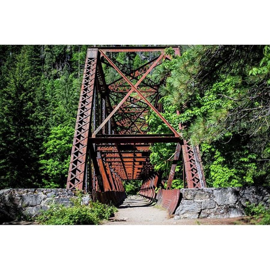 Bridge Photograph - paths In Life #nikon by Allen Solomon