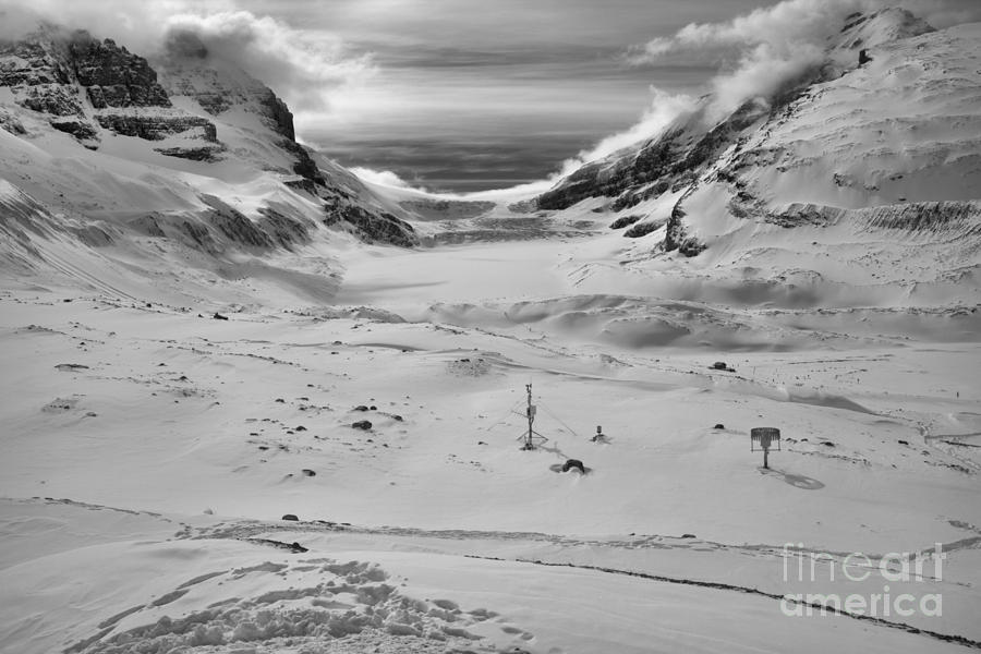 Paths To The Athabasca Glacier Black And White Photograph by Adam Jewell
