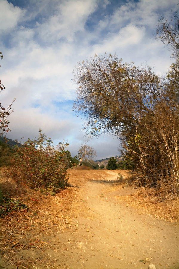 Pathway At Garland Ranch Oil Photograph by Joyce Dickens