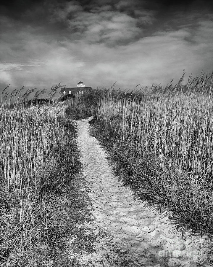 Pathway Black and White Photograph by Tom Gari Gallery-Three ...