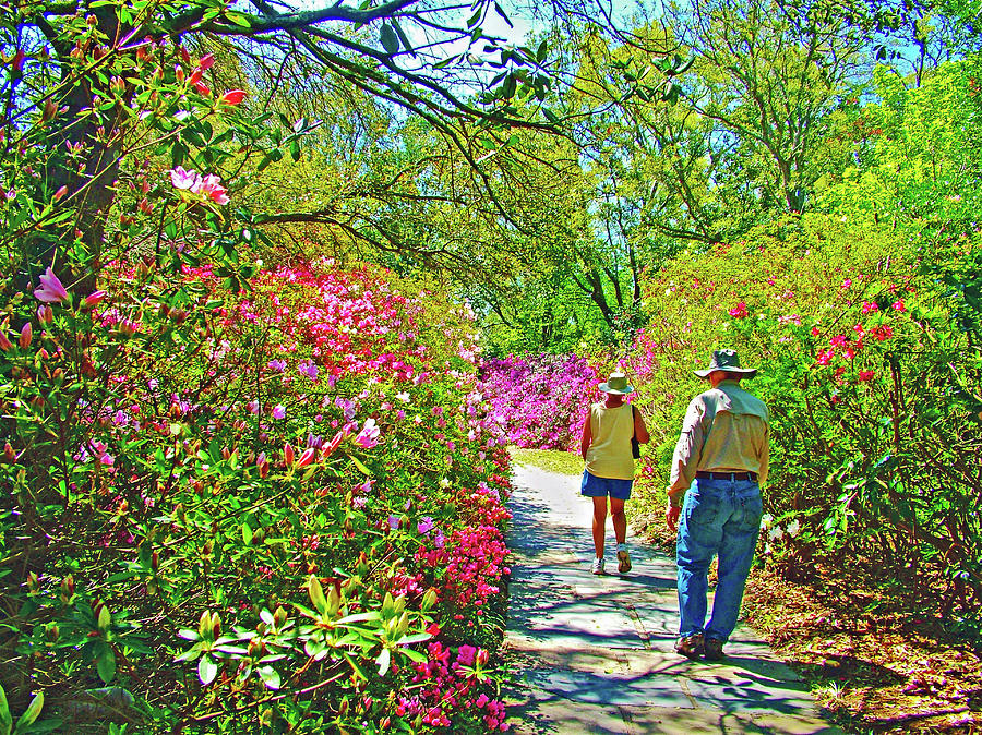 Pathway in Bellingrath Gardens in Mobile, Alabama Photograph by Ruth Hager