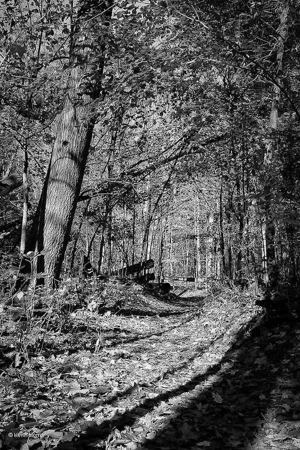 Pathway Photograph by Kevin Morris - Fine Art America