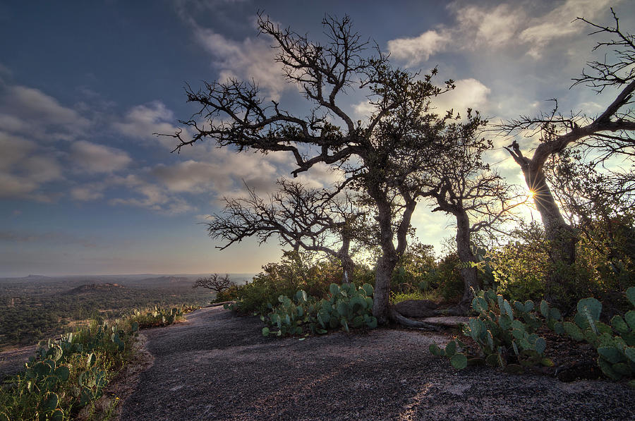 Pathway On Top Of Enchanted Rock Photograph by Todd Aaron