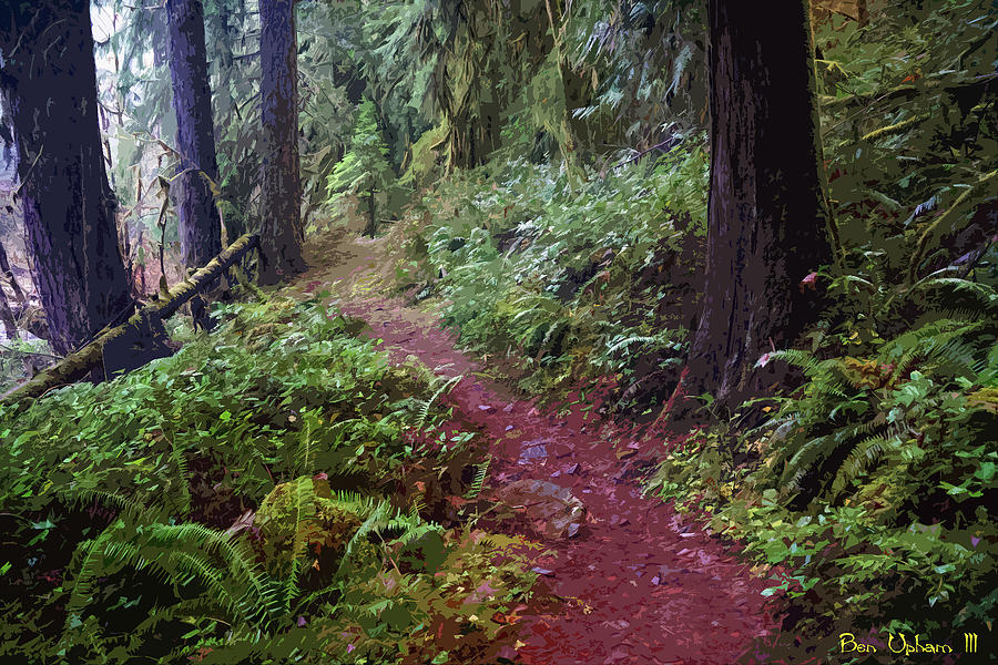 Pathway Through A Forest in Oregon Photograph by Ben Upham III