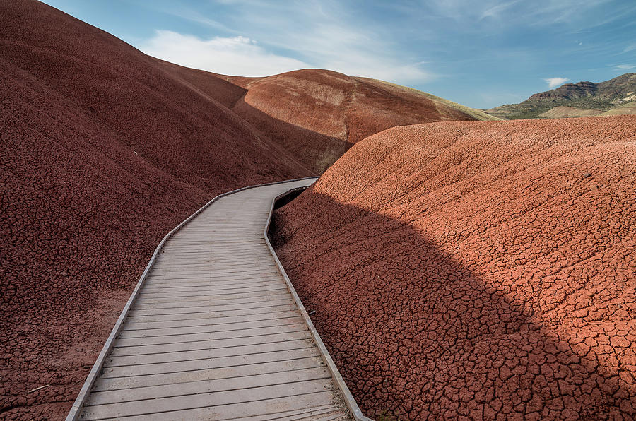 Pathway through the Reds Photograph by Greg Nyquist