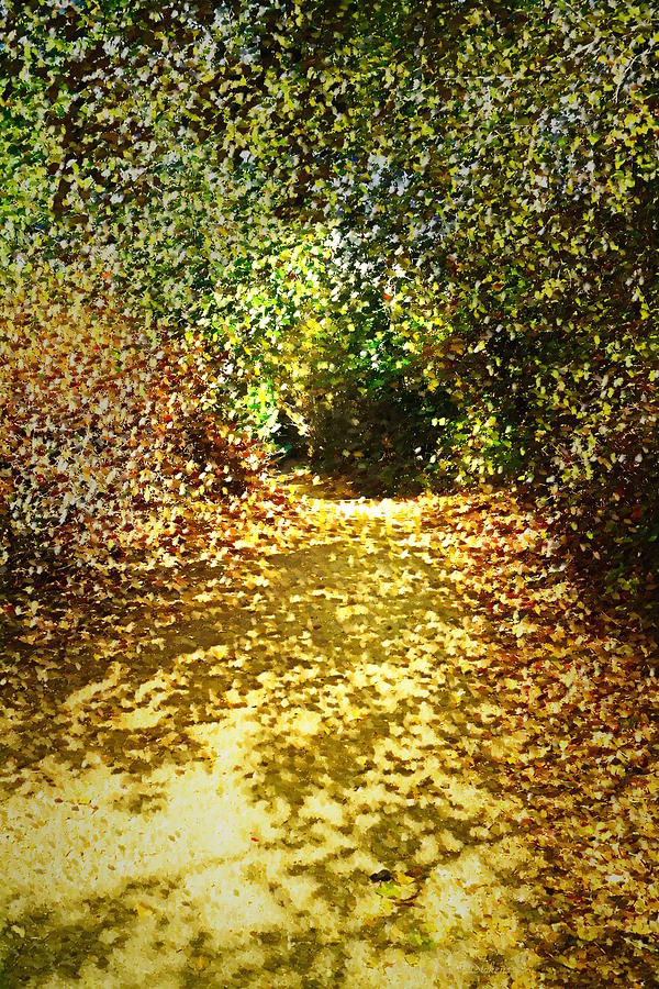 Pathway Through The Trees At Garland Ranch Oil Photograph by Joyce Dickens