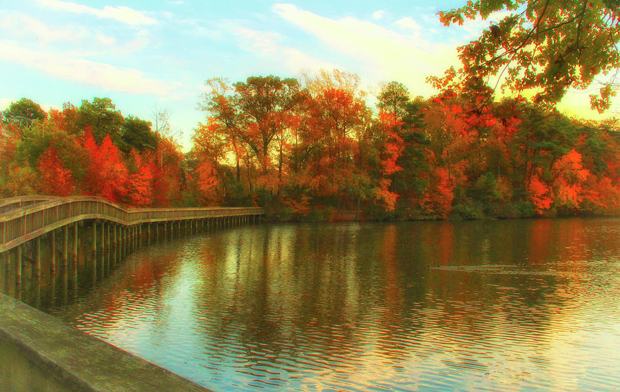 Pathway To Autumn Photograph By Ola Allen Fine Art America