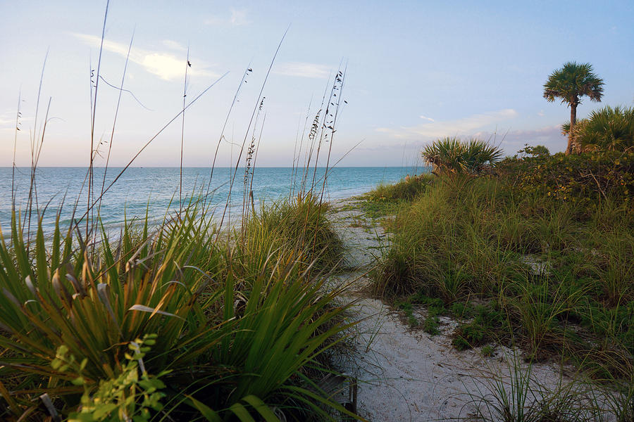 Pathway to Barefoot Beach in Naples by Robb Stan Pathway to Barefoot Beach in Naples by Robb Stan