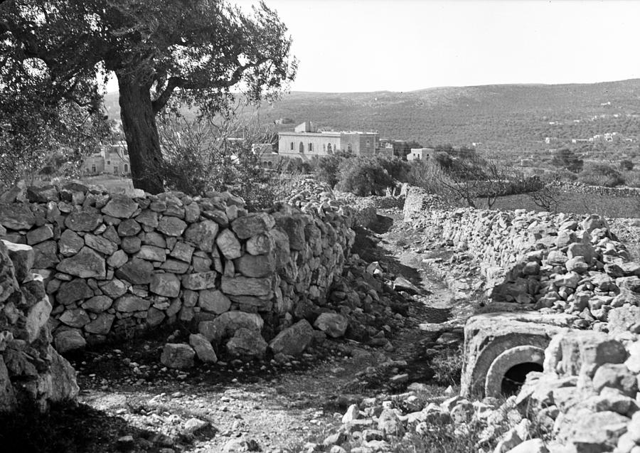 Pathway to Bethlehem 1934 Photograph by Munir Alawi