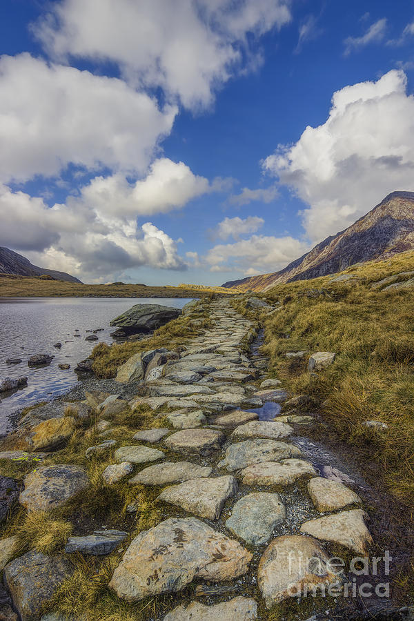 Nature Photograph - Pathway To Heaven by Ian Mitchell