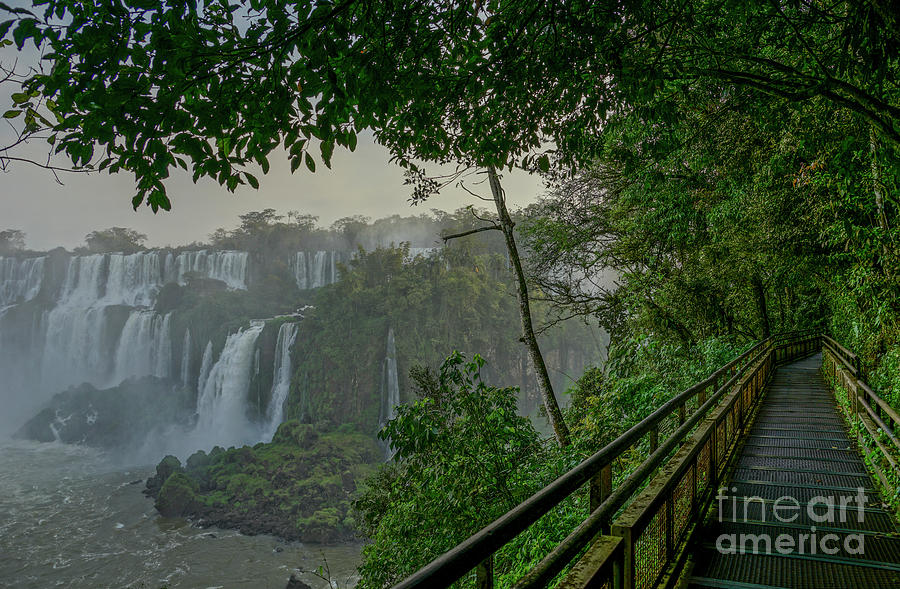 Pathway to Iguazu Photograph by Brian Kamprath