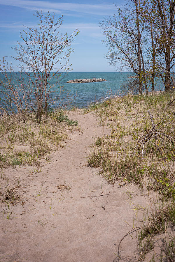 Pathway to Lake Erie Photograph by Terry DeLuco