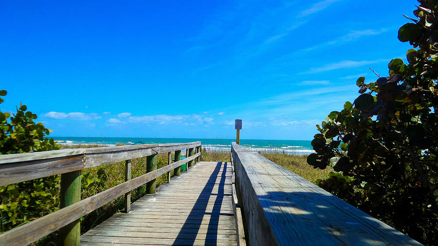 Pathway To Paradise 7 Photograph By Anne Niday - Fine Art America